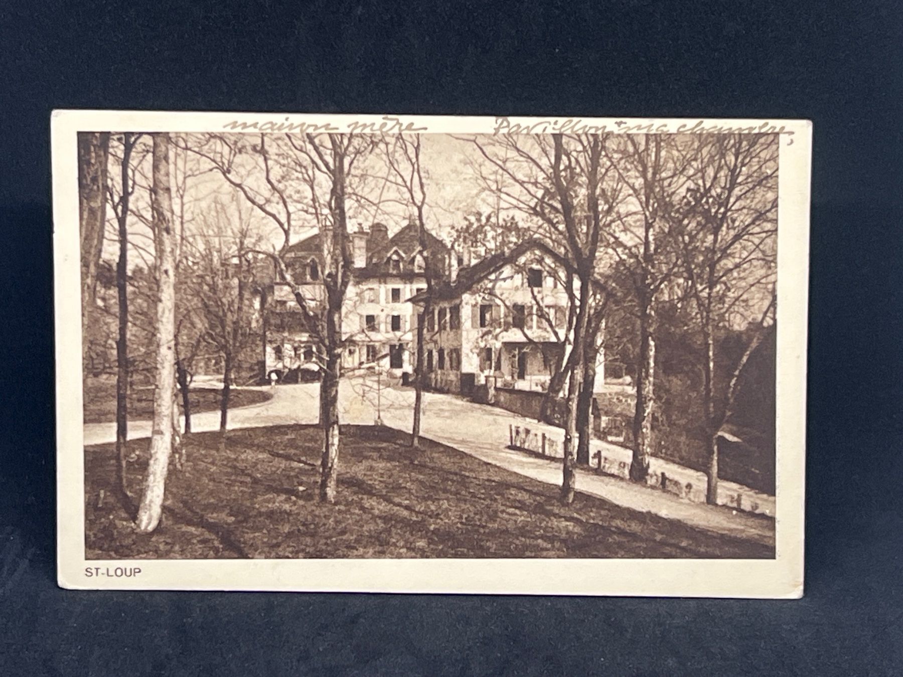 Cartoline postali: Ansichtskarte: St. Loup (St-Loup) – Usato da Widnau venduto da Brusi9