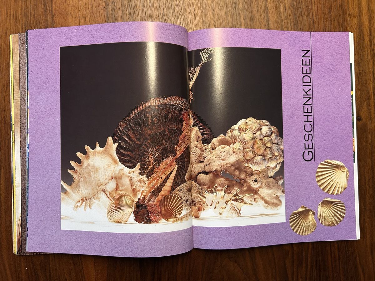 Libri: Muscheln, Sand und Steine – Usato da Dürrenäsch venduto da chinook65 6