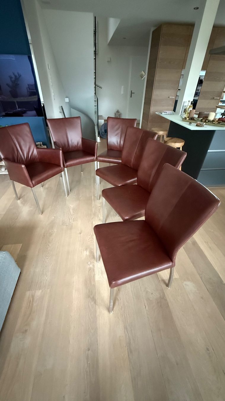 Stühle: Edle Lederstühle, 6 Stk., braun – Gebraucht aus Neftenbach von Patstang