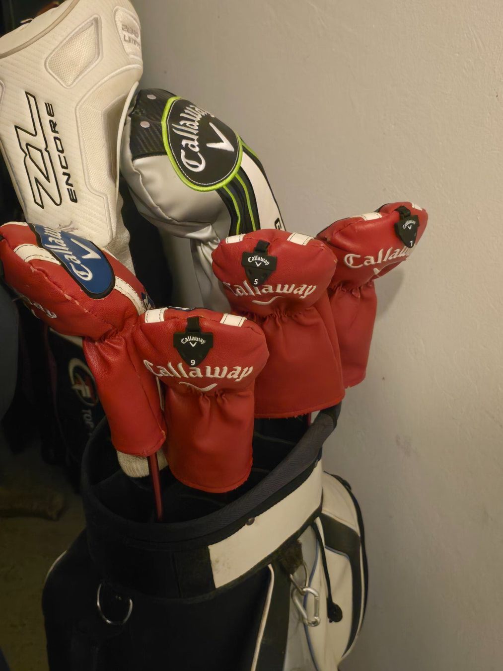 Callaway Mazze & Set: Golfset – Usato da Wolfhausen venduto da Buena1905 1