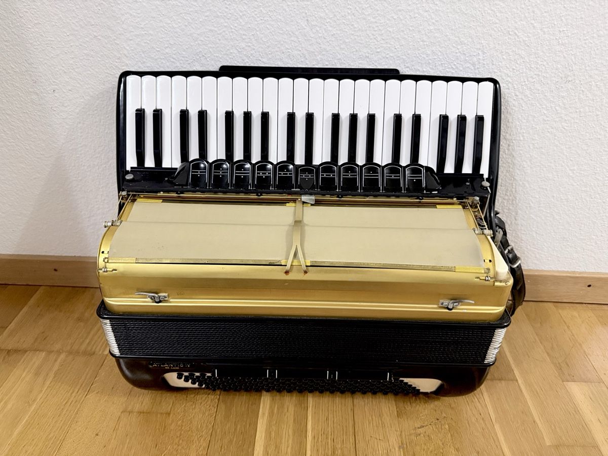Hohner Strumenti musicali: Akkordeon  – Usato da Langnau am Albis venduto da dri_59xr 2