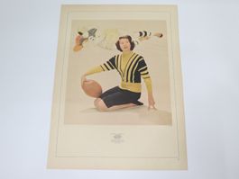 Orig. Werbung Alpinit Wolle