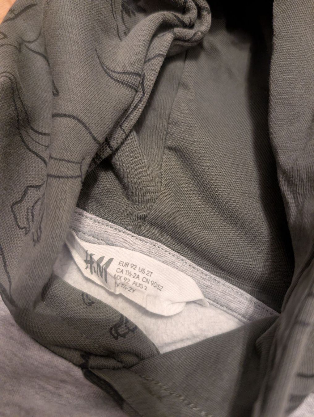 H&M Pullover & Sweatshirts: H&M Kapuzenpullover Dinosaurier grau Grösse 92 – Gebraucht aus Guntalingen von Beni_001 2