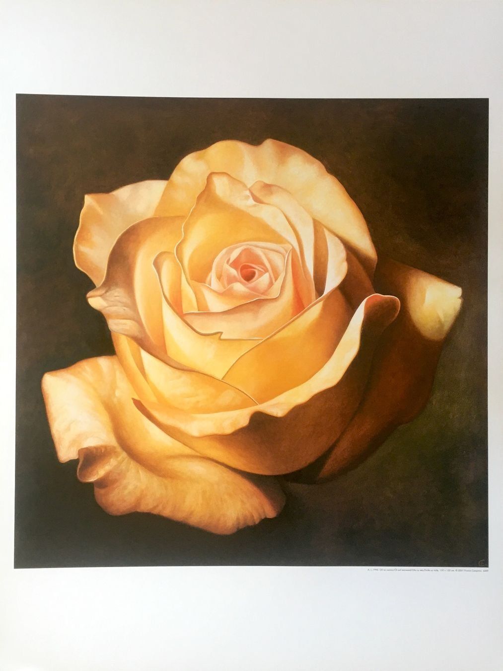 Grafica & Litografie: Franco Campana       4 KUNSTDRUCKE   "Rosen" – Usato da Nennigkofen venduto da Schamane75 4