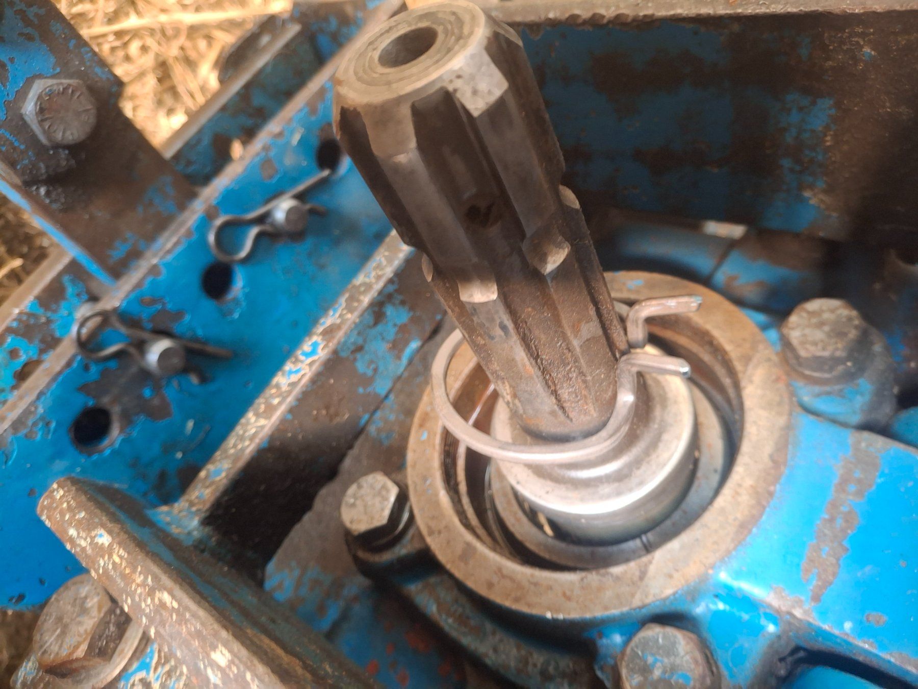 Ford Trattori: FORD 6600 1980 MIT AUSWEIS – Usato da La brillaz venduto da Olditrak 8