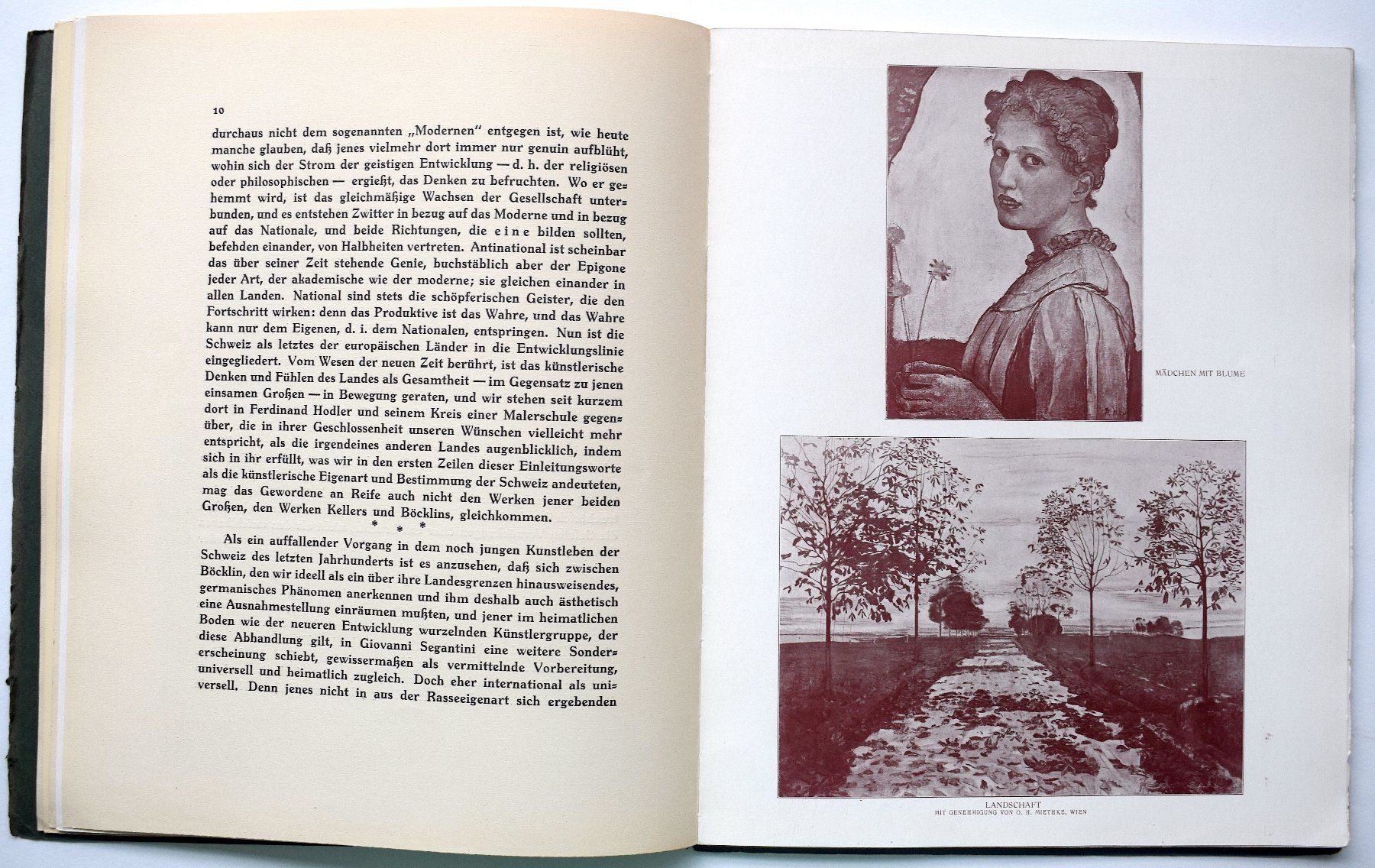 Livres: Ferdinand HODLER + die Schweizer Rudolf Klein Beckmann – D'occasion à Zürich par kunstarchiv.online 6