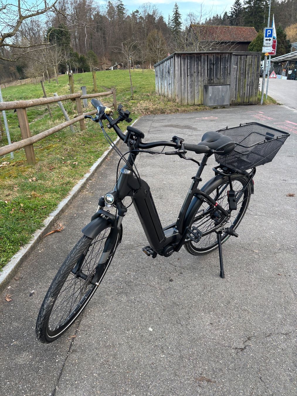 Flyer Velos: Flyer Gotour 2 5.00 – Gebraucht aus Zürich von mgl_9nnh 2
