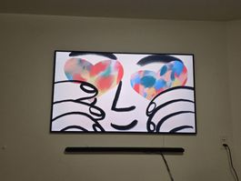 Samsung the frame pro 65 zoll 2026