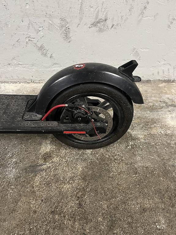 Kickboard: E-Trottinetts zu verkaufen – Usato da Bern venduto da florenciazwicky 3