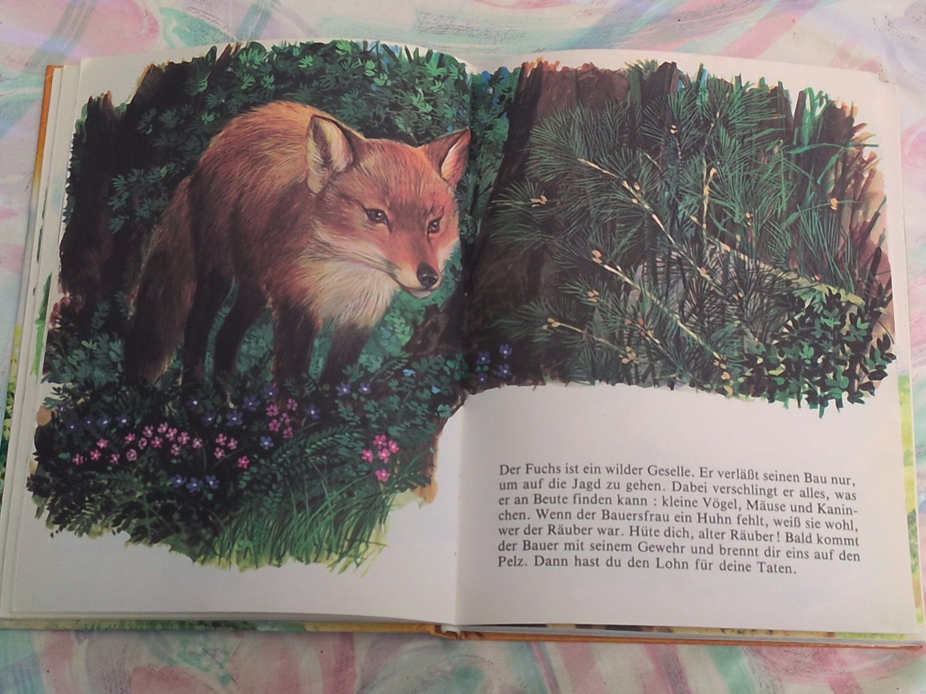 Livres: Tiere aus aller Welt – D'occasion à Ottikon par sobsale 3