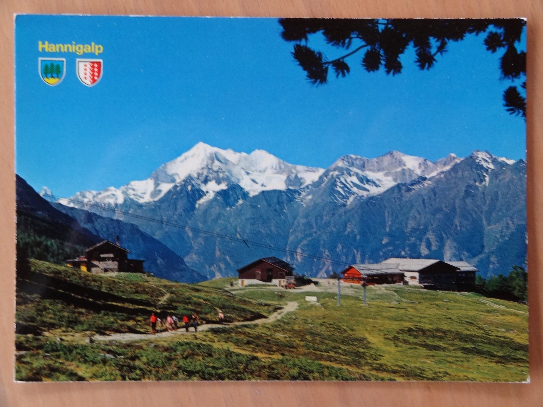 Cartoline postali: Grächen - Hannigalp - 1981 – Usato da St Léonard venduto da Riglin