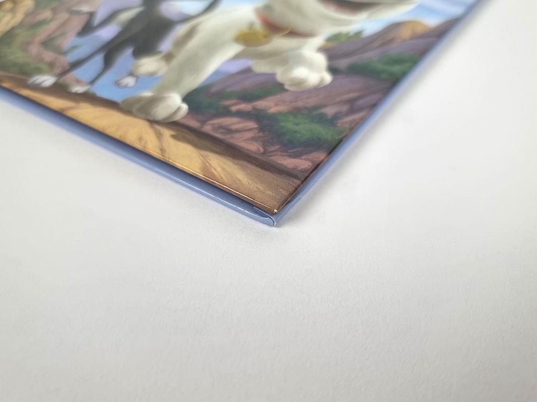 Libri: Kinderbuch "Volt" Französisch – Usato da Urtenen-Schönbühl venduto da Restwert_Schoenbuehl 2