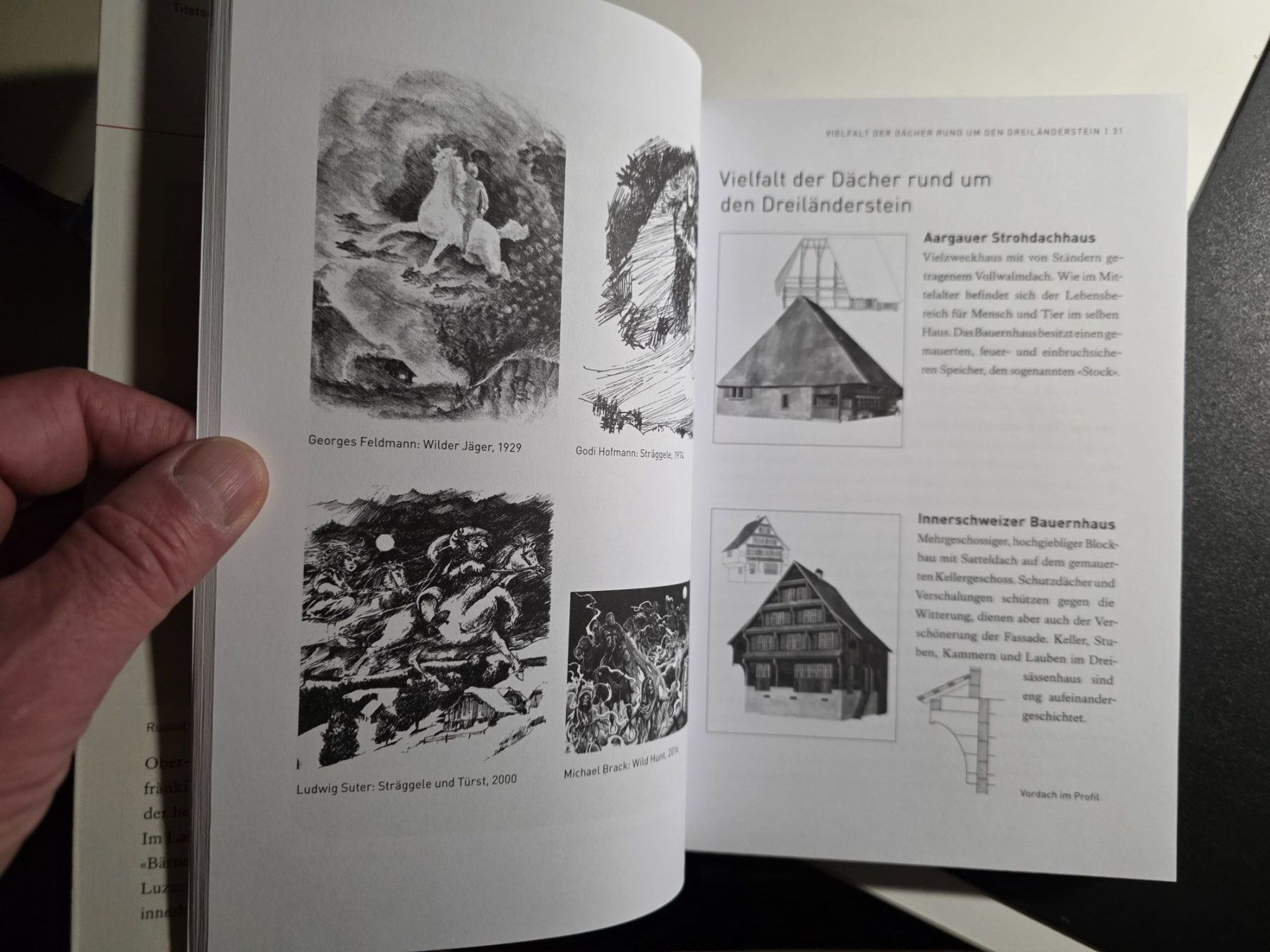 Libri: Geschichte(n) rund um den Dreiländerstein - 2017 – Usato da Walterswil BE venduto da Lonitti 4