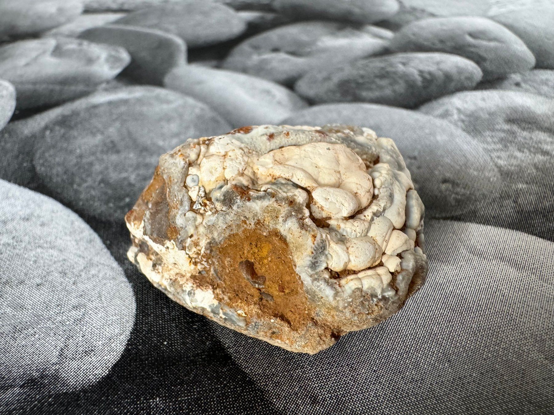 Minéraux & Lithothérapie: Nuss-Geode – Neuf (Voir description) à Biberist par Steine 1