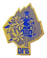 U613 - Pin DFB Dampfbahn Furka Bergstrecke