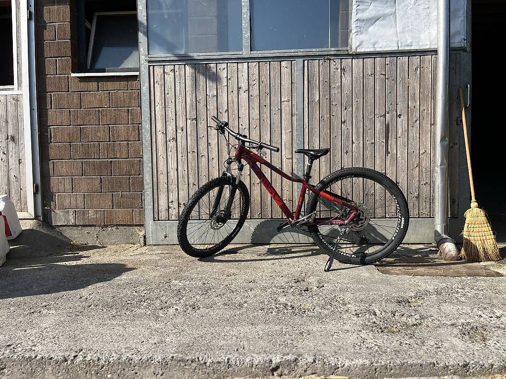 Vélos: Ghost Fahrrad  – D'occasion à Eschenbach LU par prelude01