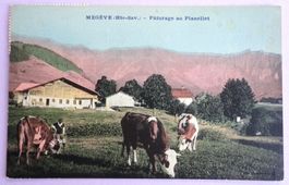 Megève (Hte-Savoie) - Pâturages au Planellet