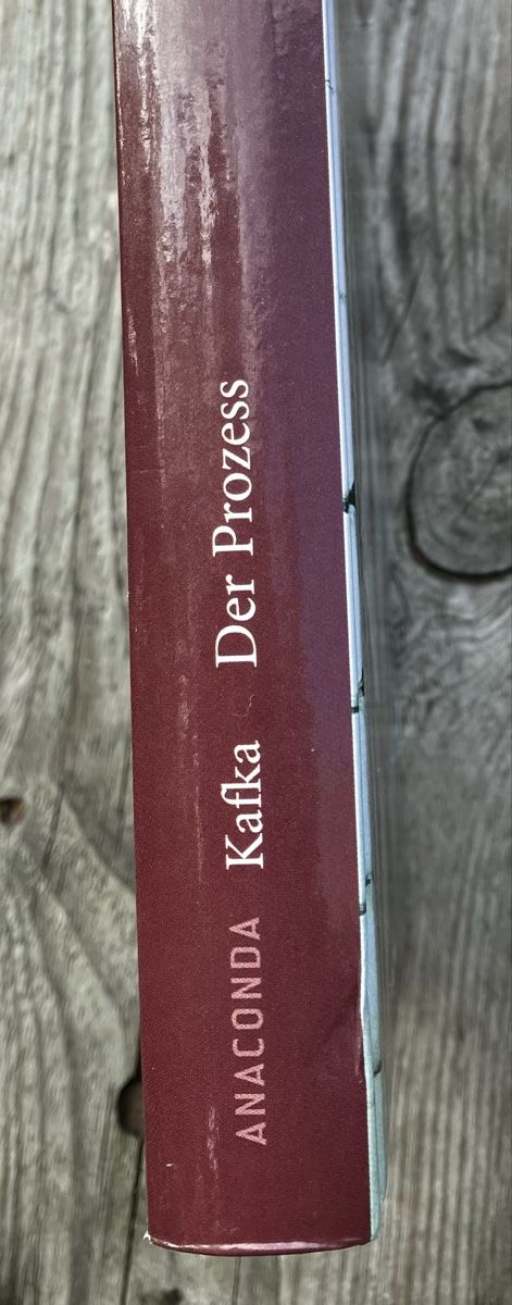 Libri: Franz Kafka: Der Prozess – Usato da Buchs AG venduto da Allerleis 3
