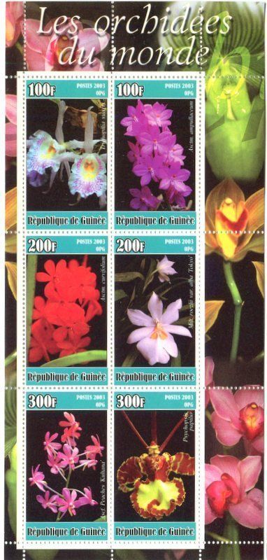 Tutti i francobolli: Block "Orchideen". Guinea – Nuovo e nell'imballaggio originale da Basel venduto da Butsch5