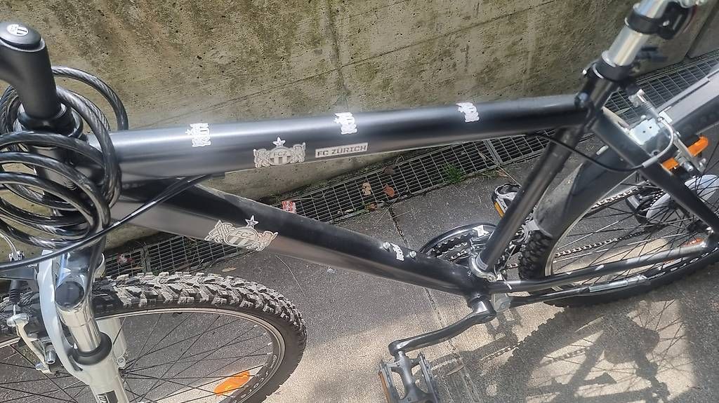 Velos: Velo  – Gebraucht aus Zürich von sunflower9 4
