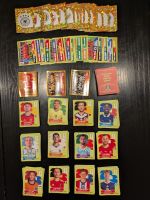 Panini WM 2026 über 400 Sticker