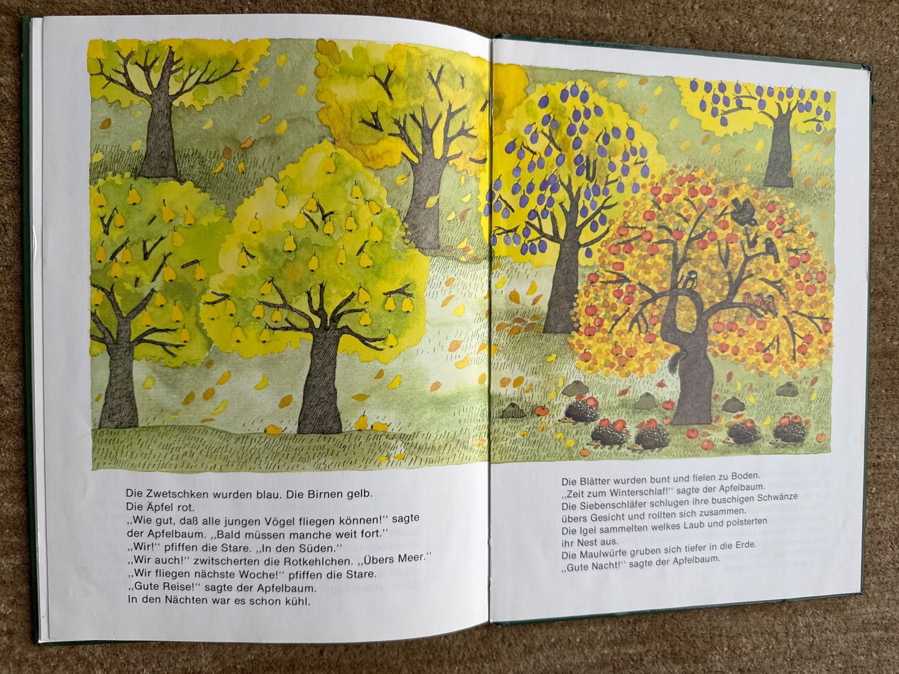 Libri: Der Apfelbaum. - Mira Lobe – Usato da Aarau venduto da Kilauea 6