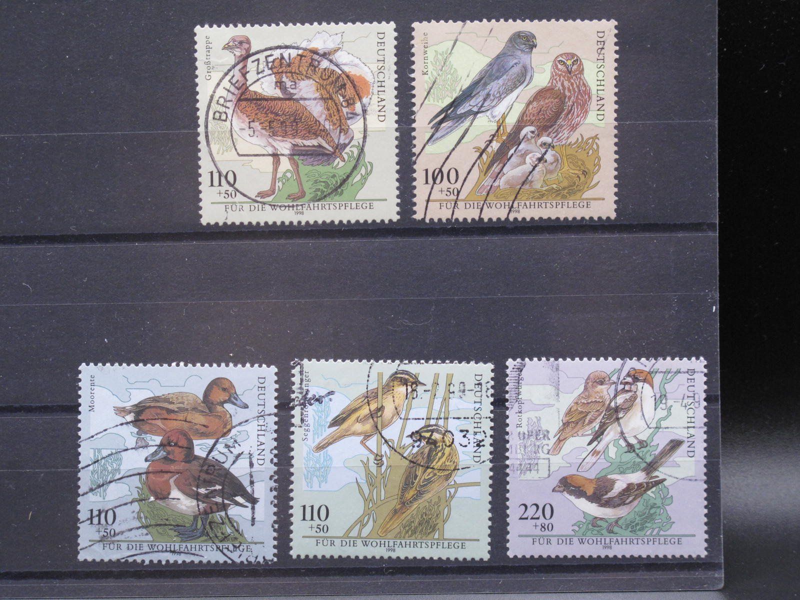Tous les timbres: BRD 1998 Bedrohte Vogelarten gest. – D'occasion à Wil SG par fva01