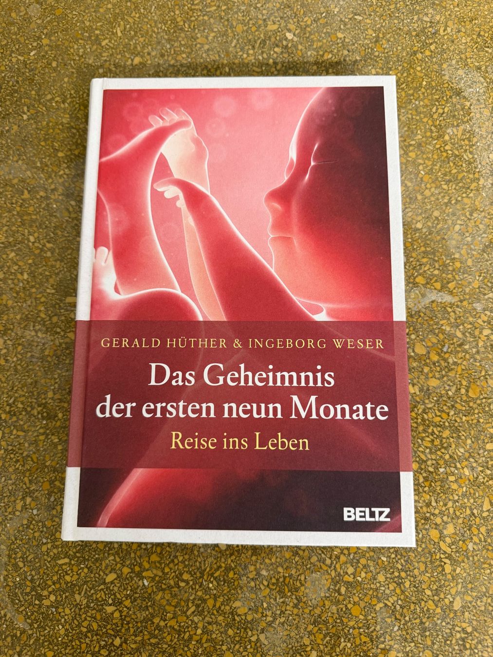 Libri: Das Geheimnis der ersten neun Monate – Usato da Zürich venduto da Bergsonne04