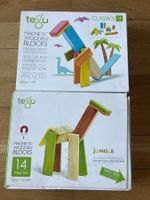 Tegu magnetisch Klötze 51 Teile