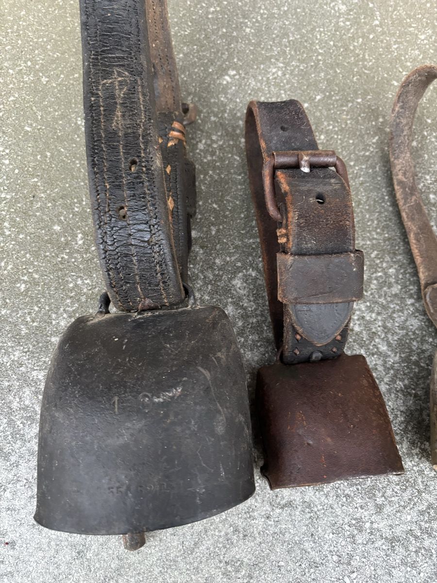 Campanacci mucche: 5 Alte Schaftreicheln. – Usato da Schangnau venduto da Roseggli82 2