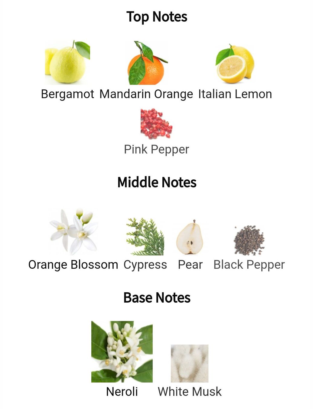Van Cleef Parfum & Eau de Toilette: 2ml Néroli Amara Van Cleef & Arpels EdP decant sample – Neu (gemäss Beschreibung) aus Steinhausen von nwe_t8nj 1