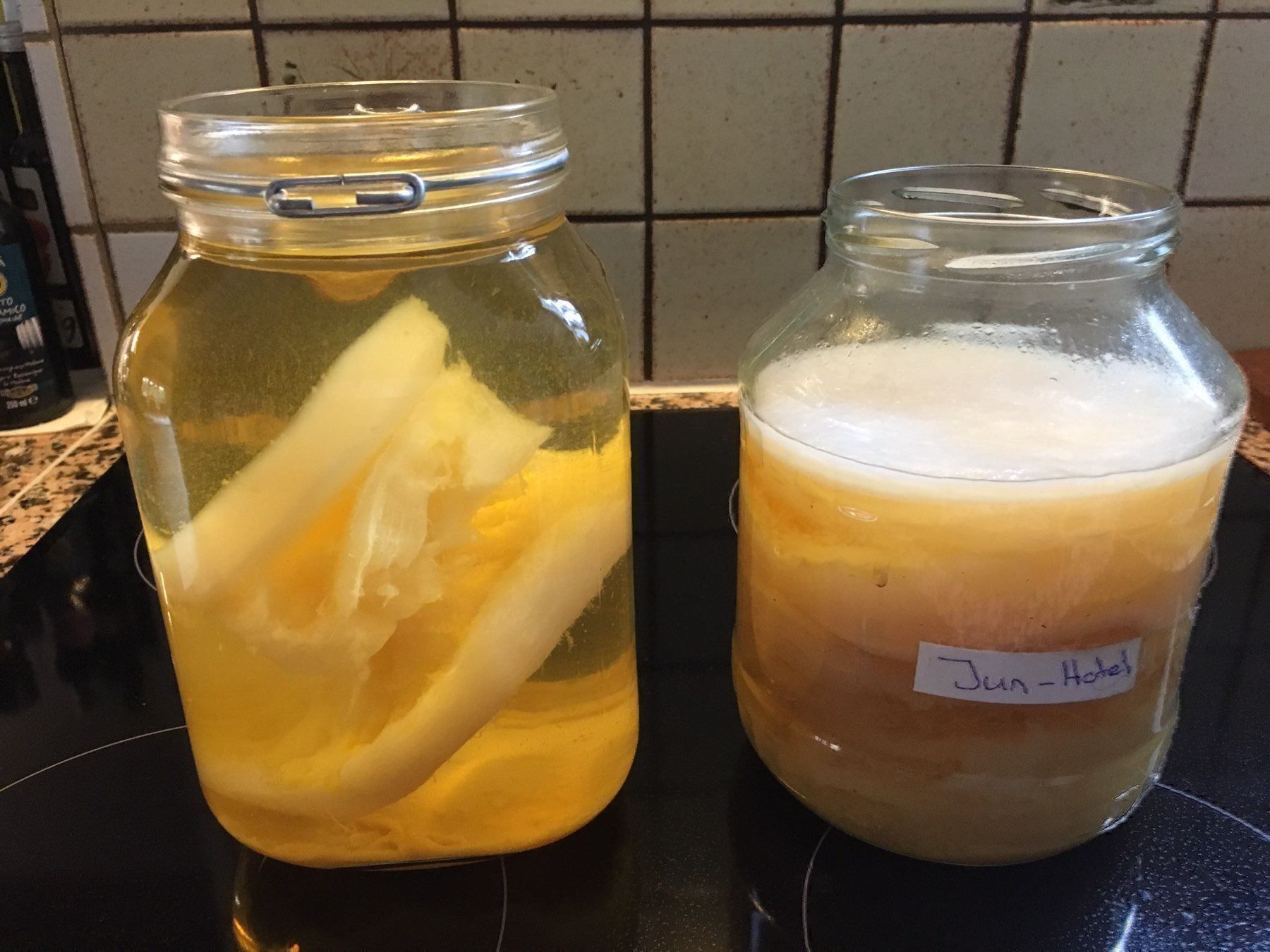 Cibi & Specialità: Jun Kombucha Teepilz – Nuovo (secondo la descrizione) da Wattwil venduto da Radical3