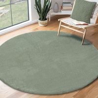 50% Rabatt * XXL Teppich Rund Super Soft 200 cm Pastellgrün