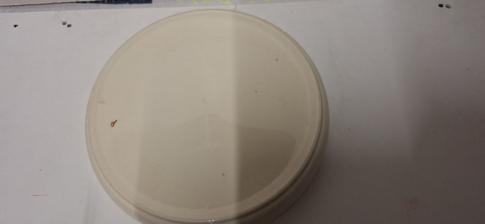Portacenere: Harley-Davidson Aschenbecher, seltenes Sammlerstück! – Nuovo (secondo la descrizione) da Brugg AG venduto da bacbac5757 3
