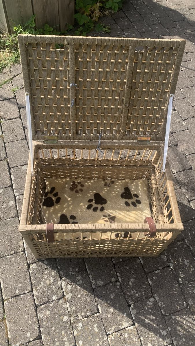 Cucce & Letti: Katzen Transportkorb – Nuovo (secondo la descrizione) da Hindelbank venduto da hirzel02 4