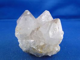 Quartz var. Amethyst & Kaktus