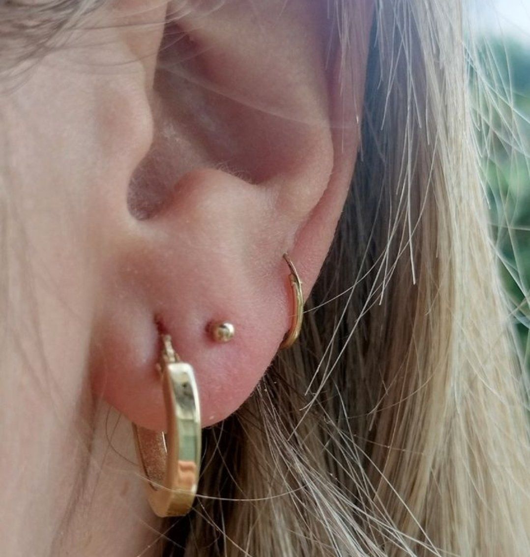 Orecchini pendenti & Orecchini a lobo: Kugelform Ohrstecker 14ct 585 Gold – Nuovo e nell'imballaggio originale da Schwyz venduto da els_7cys 6