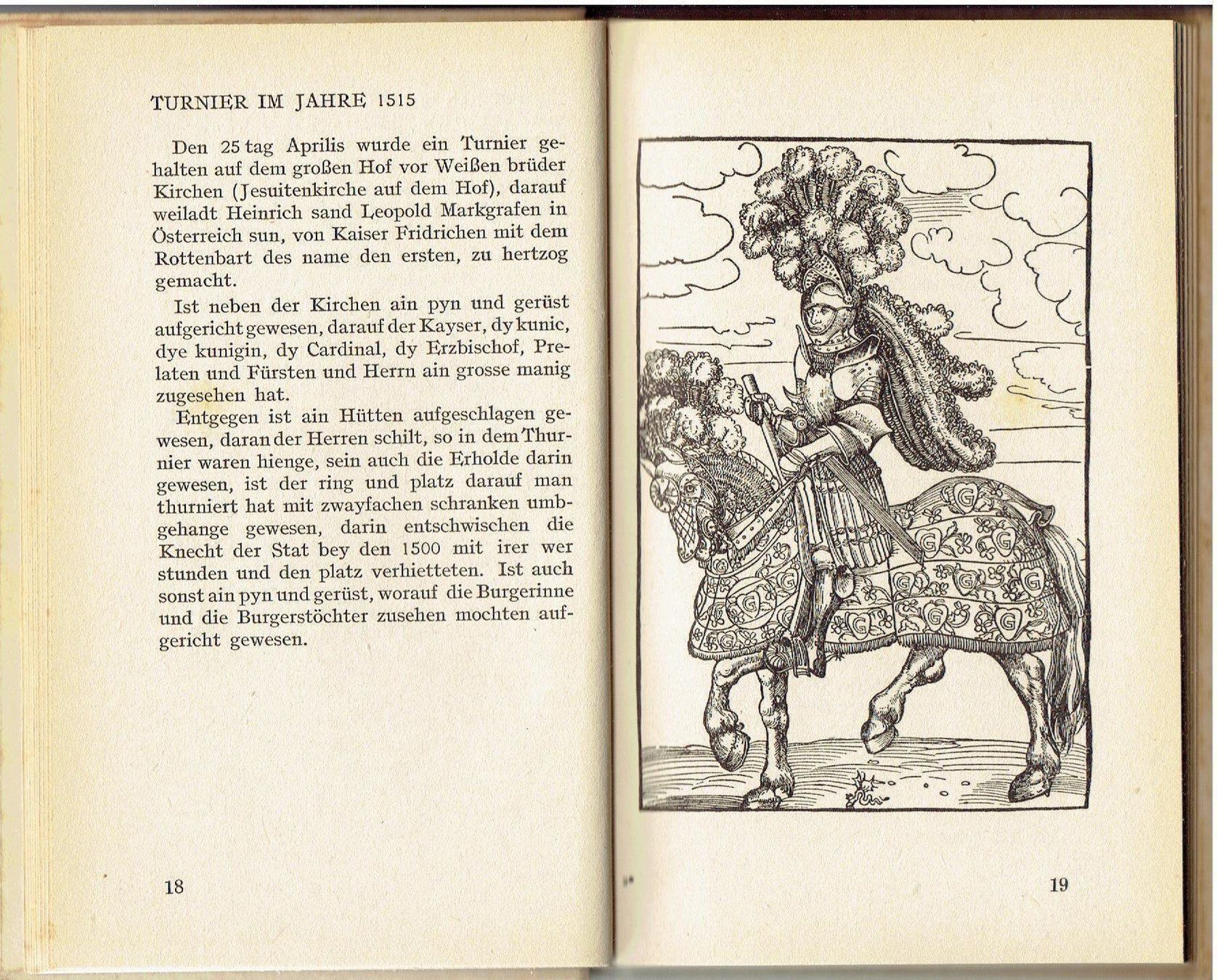 Bücher: Wiener Historien – Gebraucht aus Flims - Dorf von Stagediver 6