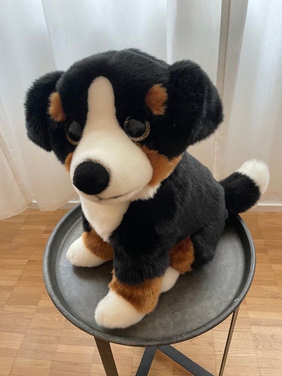 Doudou et Compagnie Chien Toopi Boy Marionnette - Le Monde de La Marionnette - B