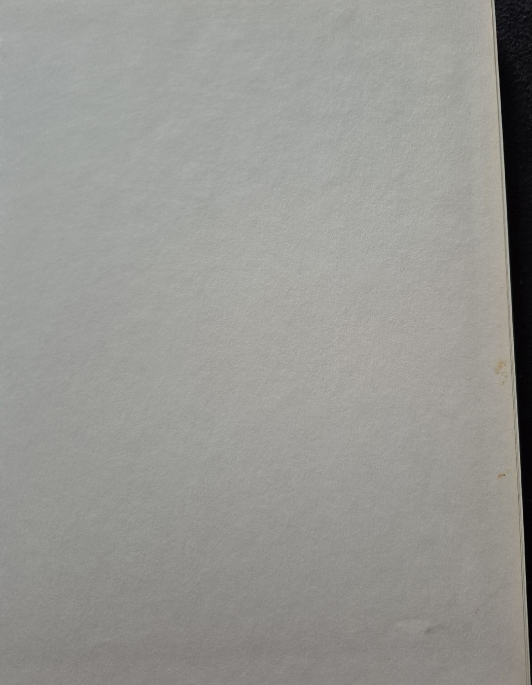 Libri: Kochbuch Italienisch Schuler – Usato da Adliswil venduto da cha_fq9f 5