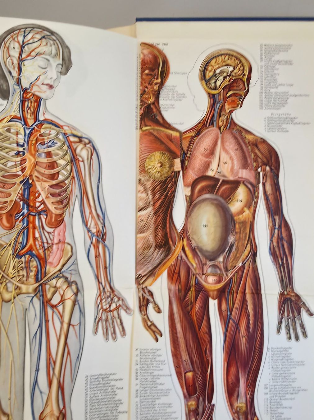 Libri: Grosses Reader's Digest Gesundheitsbuch - Verlag Das Beste – Usato da Birr venduto da DisDas 6