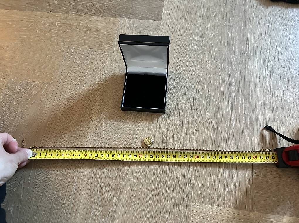Catenine: Vergoldete Löwe Halskette Sternzeichen – Usato da Zürich venduto da leo_zx2x 1