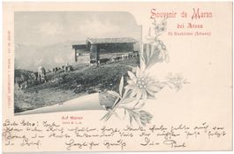 Souvenir de MARAN bei AROSA: Alpszenerie mit Kühen 1901
