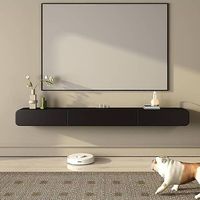 Designer TV-Lowboard