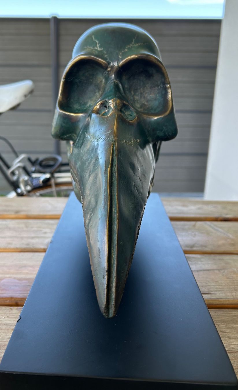 Statuette: Crâne et bec d’oiseau en laiton – Usato da yvonand venduto da Gallegon 1