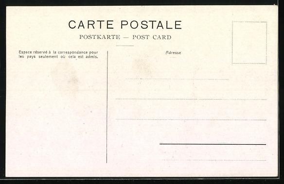 Cartoline postali: Salondampfer Winkelried auf dem Genferse – Usato da Berlin venduto da bartko-reher 1