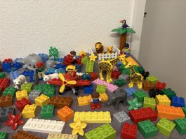 Schöner Lego Duplo Zoo über 100 Teile (Versand möglich!)