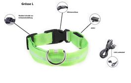 LED Hunde Leuchthalsband - Grösse L in Grün
