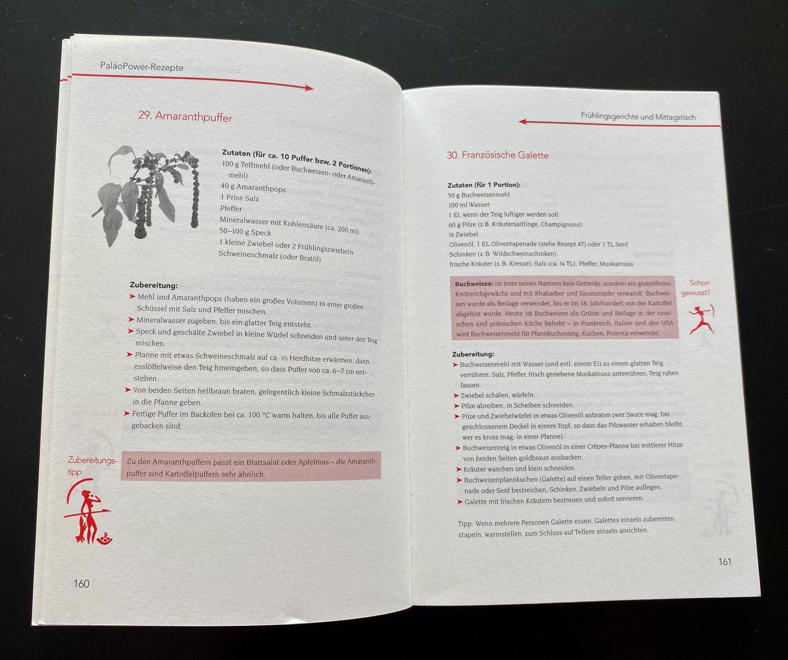 Libri: DAS PALÄOPOWER KOCHBUCH / Sabine Paul – Usato da Nussbaumen AG venduto da schuba2000 3