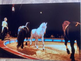 Circus Knie Foto 1985